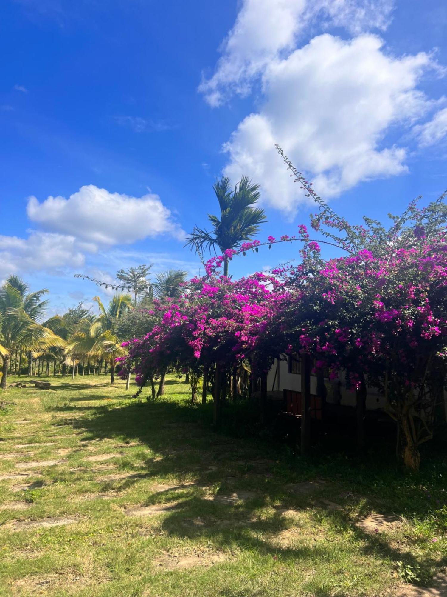 Hotel Komleo Farm Buon Ma Thuot Exteriér fotografie